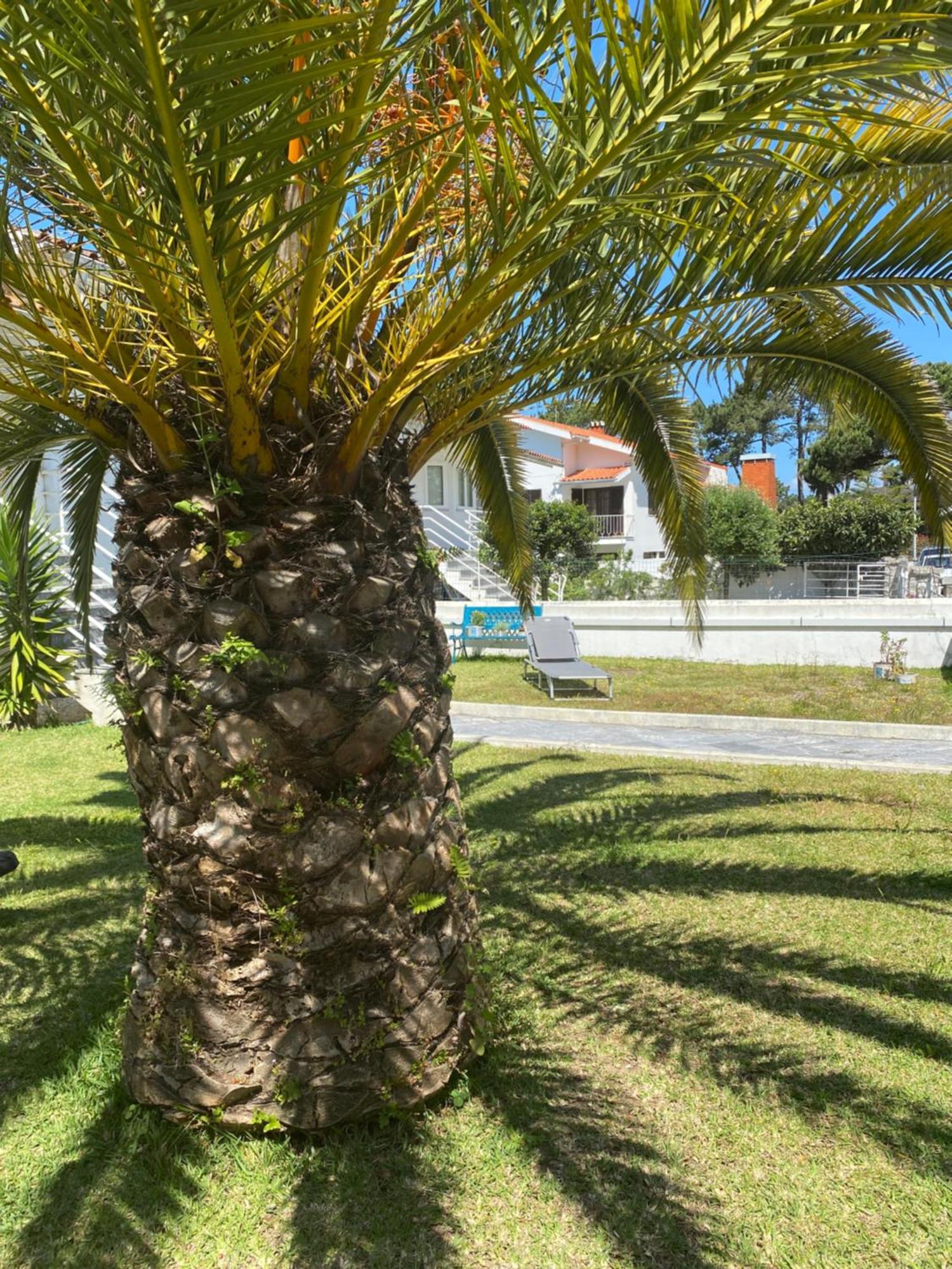 Apartmán Itaca Experience Playa Do Cabedelo Viana do Castelo Exteriér fotografie